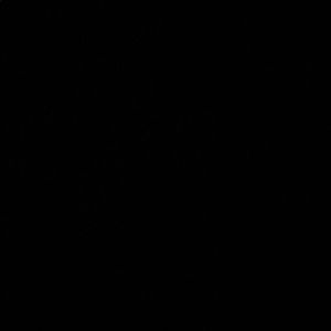 Meet your Posher, Jess